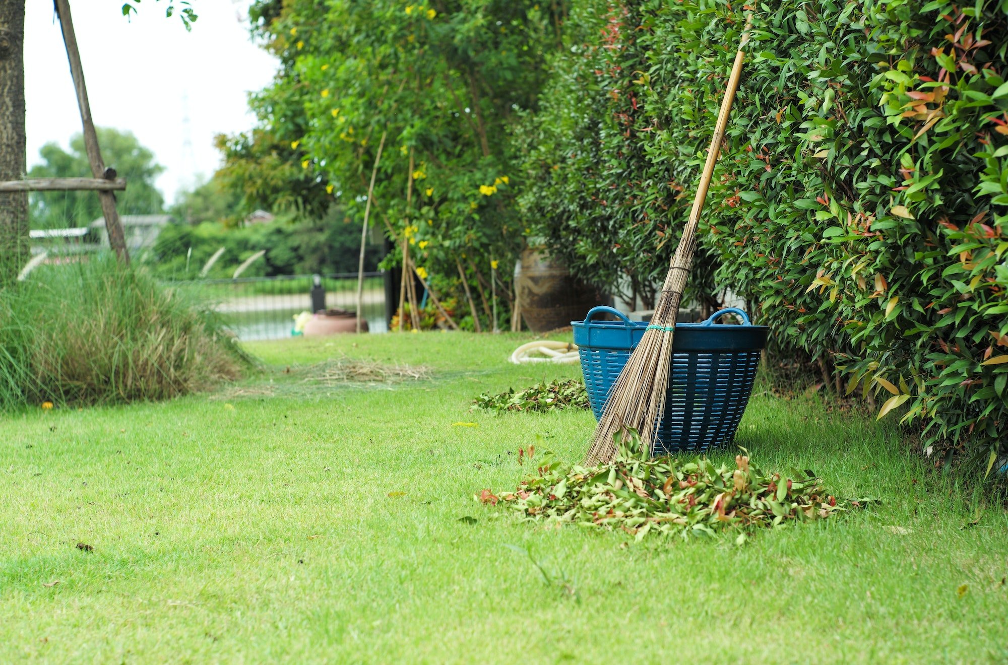 Gardening work at the backyard of house